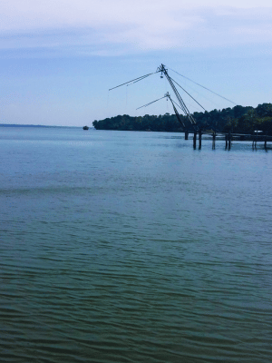 Ashtamudi Lake