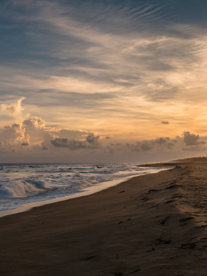 Cherai Beach