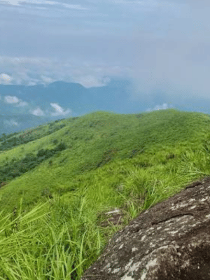 Ilaveezhapoonchira