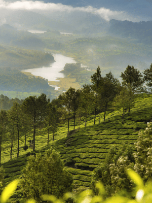 Munnar