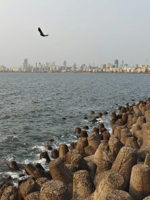 Muzhappilangad Drive-in Beach