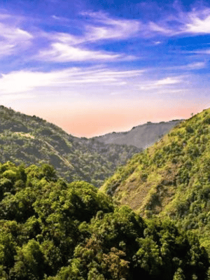 Silent Valley National Park