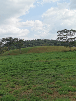 Vagamon